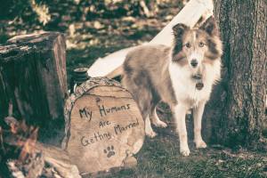 10839828_10154780760930391_36776103_o